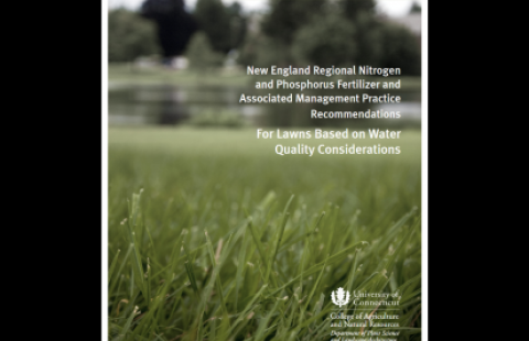bulletin cover shot
