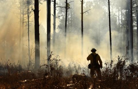 firefighter in forest silhouette 